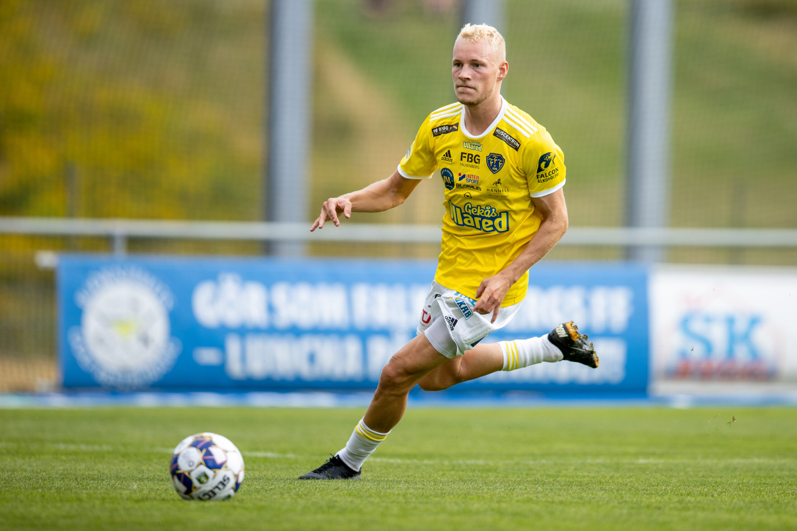 Fotboll, Superettan, Falkenberg - GIF Sundsvall